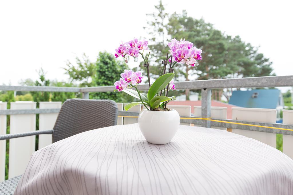 Hotel Garni Am Deich Zingst Quarto foto